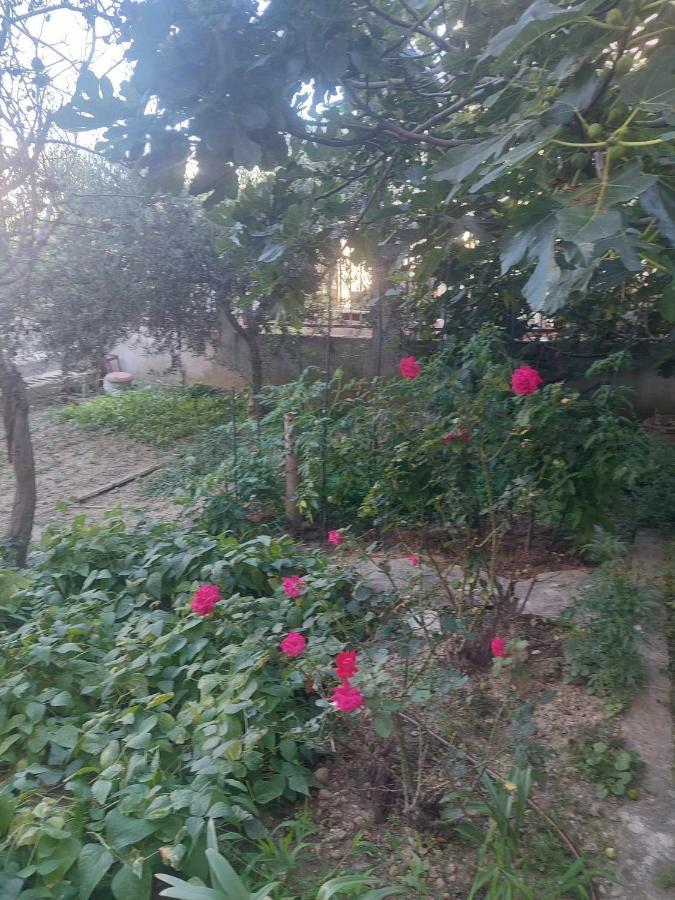 Holiday Apartment Σπλιτ Εξωτερικό φωτογραφία
